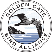 Golden Gate Audubon Logo, California Gull