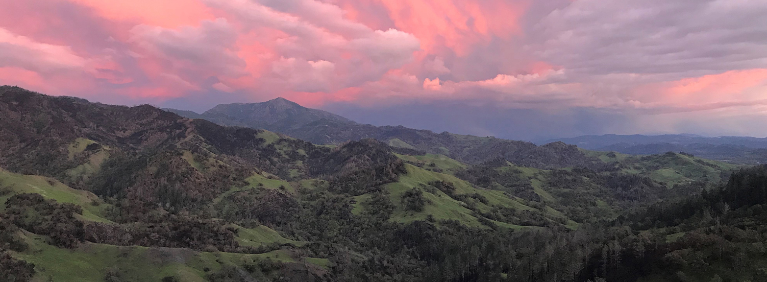 All Hands Ecology's Modini Preserve - Photo by Michelle Cooper